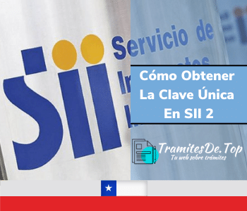 Cómo Obtener La Clave Única En SII 2