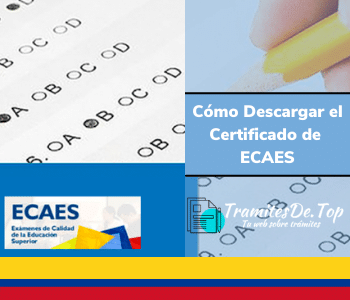 Cómo Descargar el Certificado de ECAES