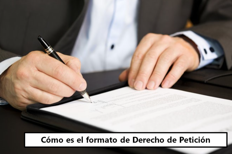 C Mo Es El Formato De Derecho De Petici N Tramitesde Top