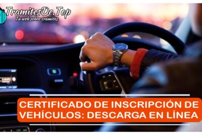 Certificado de Inscripción de vehículos: Descarga en línea