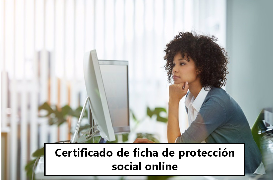 Ficha de protección social